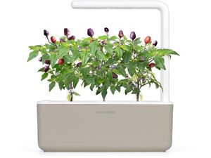 Click and Grow fialové chilli, kapsule so semienkami a substrátom 3ks