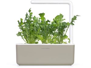 Click and Grow rukola, kapsule so semenami a substrátom 3ks