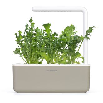 Click and Grow rukola, kapsule so semenami a substrátom 3ks