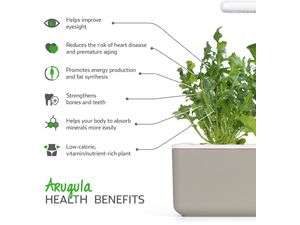 Click and Grow rukola, kapsule so semenami a substrátom 3ks