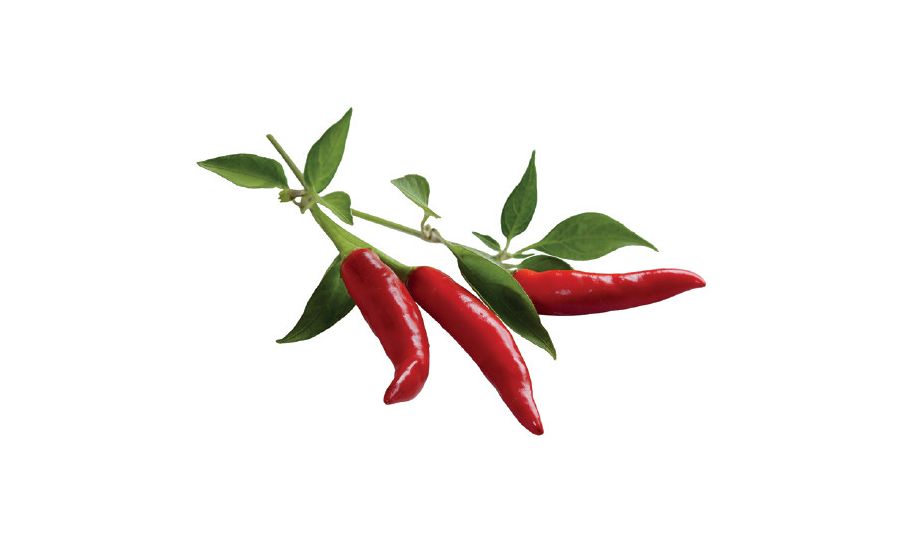 Click and Grow chilli papričky, kapsule so semenami a substrátom 3ks