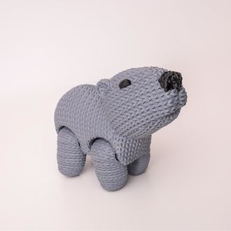 Polymaker Panchroma PLA Satin Grey