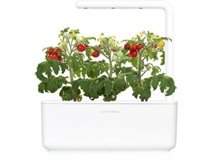 Click and Grow Smart Garden 3 smart pot + 3ks kapsúl so semienkami bazalky, biela