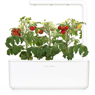 Click and Grow Smart Garden 3 smart pot + 3ks kapsúl so semienkami bazalky, biela