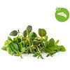 Click and Grow Zmes talianskych byliniek, kapsule so semienkami a substrátom 9ks