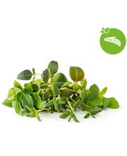 Click and Grow Zmes talianskych byliniek, kapsule so semienkami a substrátom 9ks