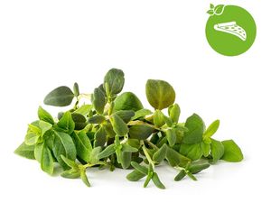 Click and Grow Zmes talianskych byliniek, kapsule so semienkami a substrátom 9ks