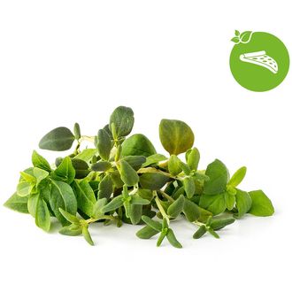 Click and Grow Zmes talianskych byliniek, kapsule so semienkami a substrátom 9ks