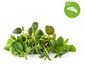 Click and Grow Zmes talianskych byliniek, kapsule so semienkami a substrátom 9ks