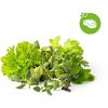 Click and Grow Mix Steak&Grill, kapsule so semienkami a substrátom 9ks