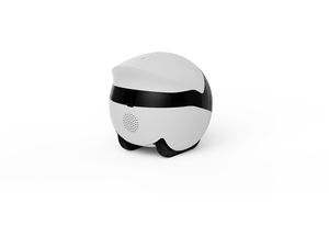 Enabot ROLA Mini