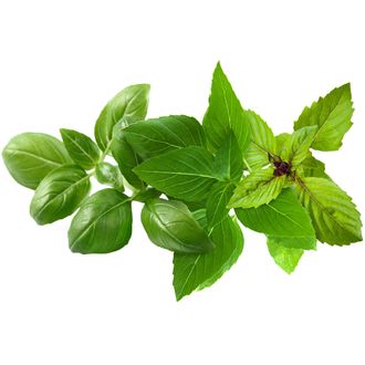 Click and Grow Bazalka zmes, kapsule so semienkami a substrátom 9ks
