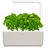 Click and Grow Smart Garden 3 smart plantážnik + 3ks kapsúl so semienkami bazalky, béžová