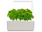 Click and Grow Smart Garden 3 smart plantážnik + 3ks kapsúl so semienkami bazalky, béžová