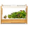 Click and Grow 25, biela