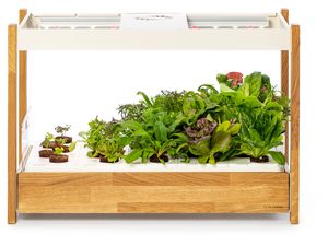 Click and Grow 25, biela