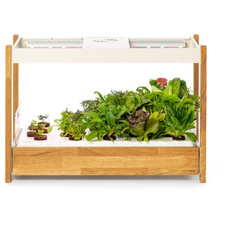 Click and Grow 25, biela