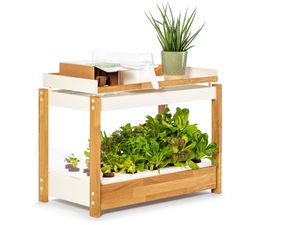 Click and Grow 25, biela