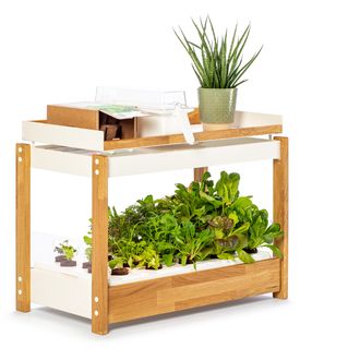 Click and Grow 25, biela