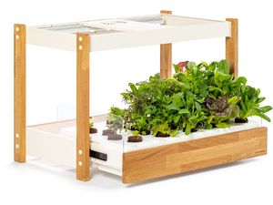 Click and Grow 25, biela