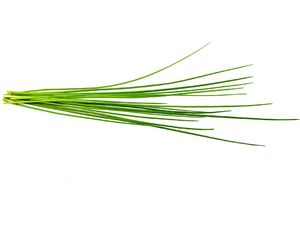 Click and Grow pažítka, kapsule so semenami a substrátom 3ks