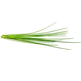 Click and Grow pažítka, kapsule so semenami a substrátom 3ks