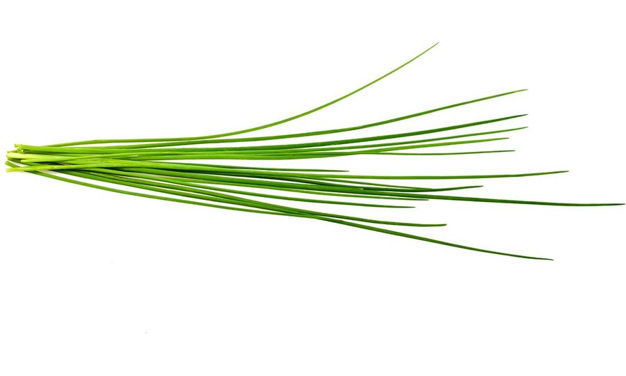 Click and Grow pažítka, kapsule so semenami a substrátom 3ks