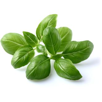Click and Grow bazalka, kapsule so semenami a substrátom 3ks