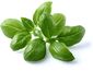 Click and Grow bazalka, kapsule so semenami a substrátom 3ks
