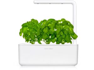 Click and Grow bazalka, kapsule so semenami a substrátom 3ks