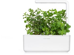 Click and Grow mäta pieporná, kapsule so semienkami a substrátom 3ks