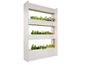 Click and Grow Nástenná farma + sada šalátov