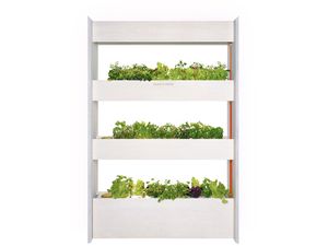 Click and Grow Nástenná farma + sada šalátov