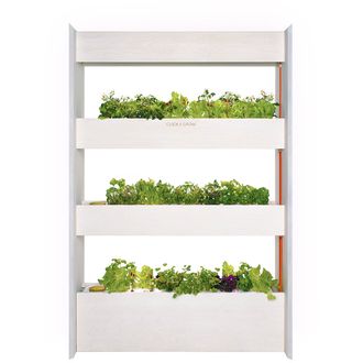 Click and Grow Nástenná farma + sada šalátov