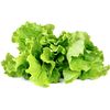 Click and Grow zelený šalát, kapsule so semienkami a substrátom 3ks