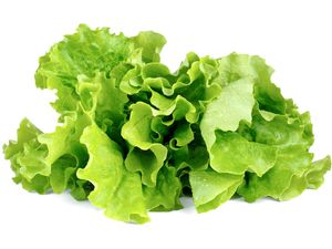 Click and Grow zelený šalát, kapsule so semienkami a substrátom 3ks