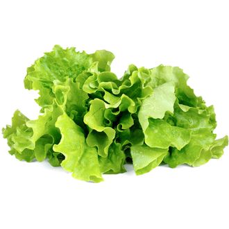 Click and Grow zelený šalát, kapsule so semenami a substrátom 9ks
