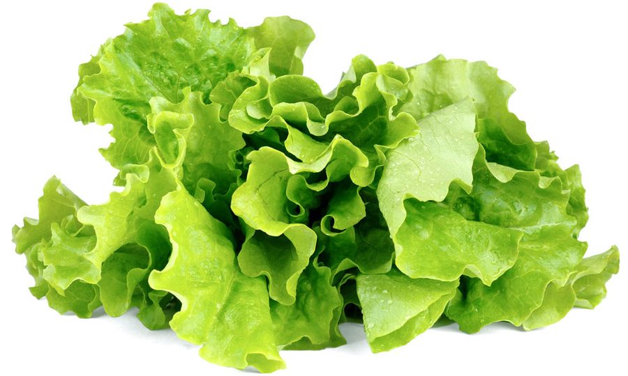 Click and Grow zelený šalát, kapsule so semienkami a substrátom 3ks
