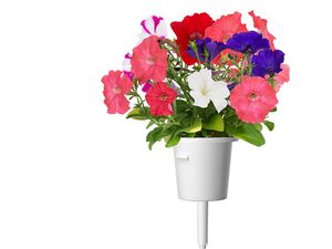 Click and Grow petúnie, kapsule so semenami a substrátom 3ks