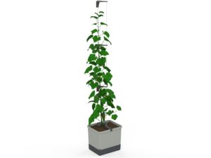 Samozavlažovací kvetináč Gusta Garden CURT CUCUMBER svetlosivý