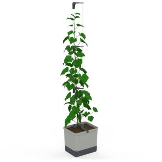 Samozavlažovací kvetináč Gusta Garden CURT CUCUMBER svetlosivý