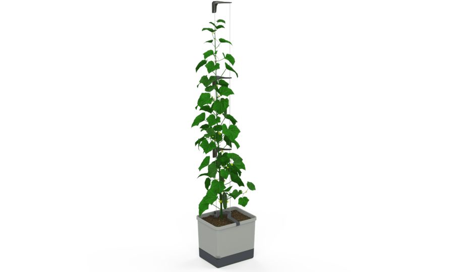 Samozavlažovací kvetináč Gusta Garden CURT CUCUMBER svetlosivý