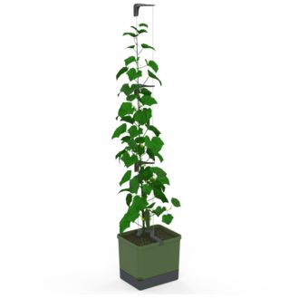Gusta Garden CURT CUCUMBER samozavlažovací kvetináč zelený