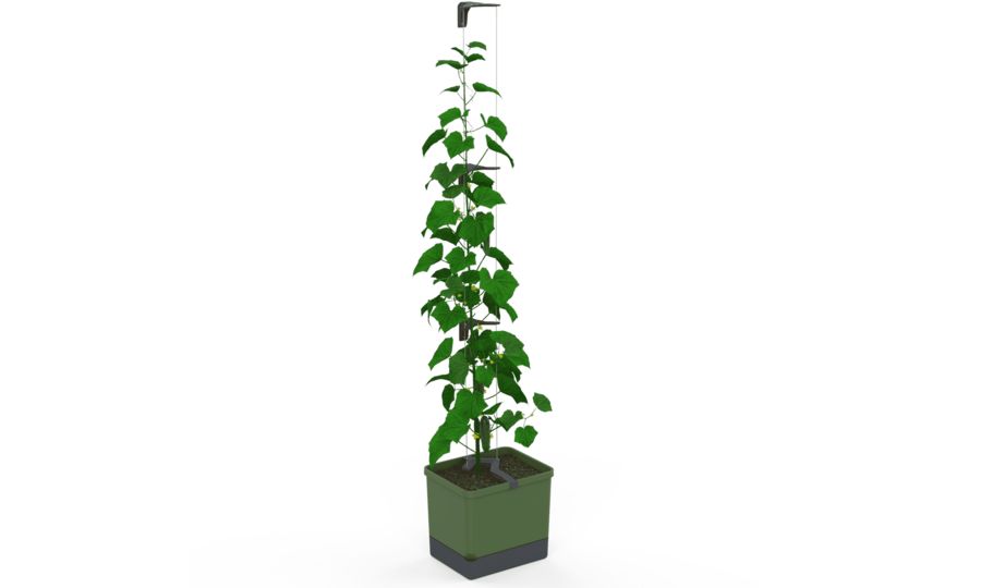 Gusta Garden CURT CUCUMBER samozavlažovací kvetináč zelený