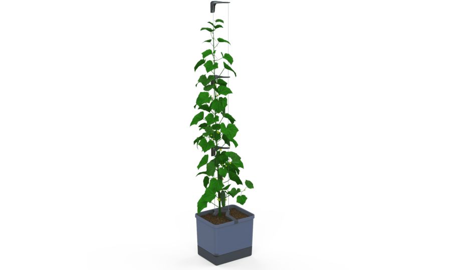 Samozavlažovací kvetináč Gusta Garden CURT CUCUMBER antracitový