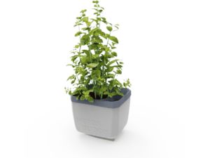 Gusta Garden HERBS BUDDY samozavlažovací kvetináč svetlosivý