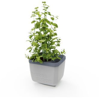 Gusta Garden HERBS BUDDY samozavlažovací kvetináč svetlosivý