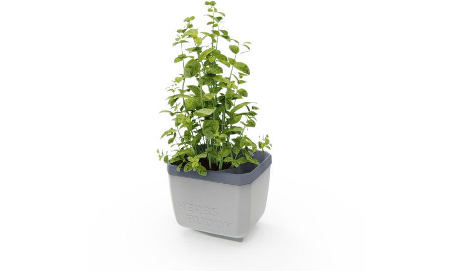 Gusta Garden HERBS BUDDY samozavlažovací kvetináč svetlosivý