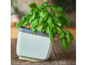 Gusta Garden HERBS BUDDY samozavlažovací kvetináč svetlosivý, 3ks v balení