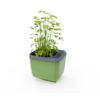 Gusta Garden HERBS BUDDY samozavlažovací kvetináč zelený